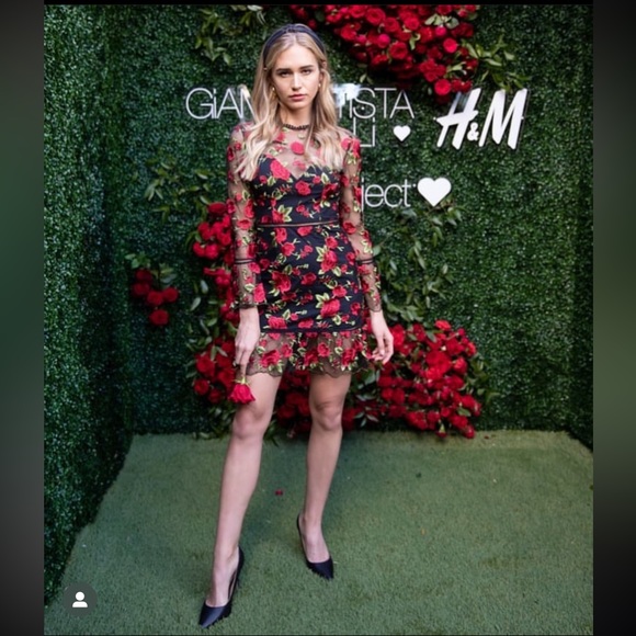 Beautiful rose dress by Saylor NY - Picture 6 of 10